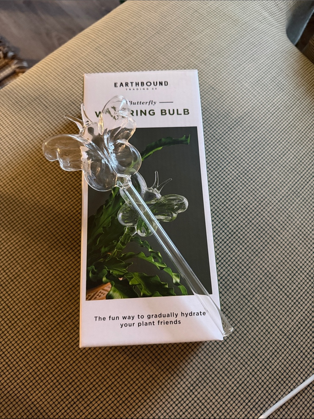 EARTHBOUND Clear Butterfly Glass Watering Stake